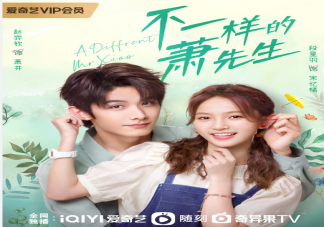 《不一樣的蕭先生》根據(jù)什么小說改編的 《不一樣的蕭先生》人物關系介紹
