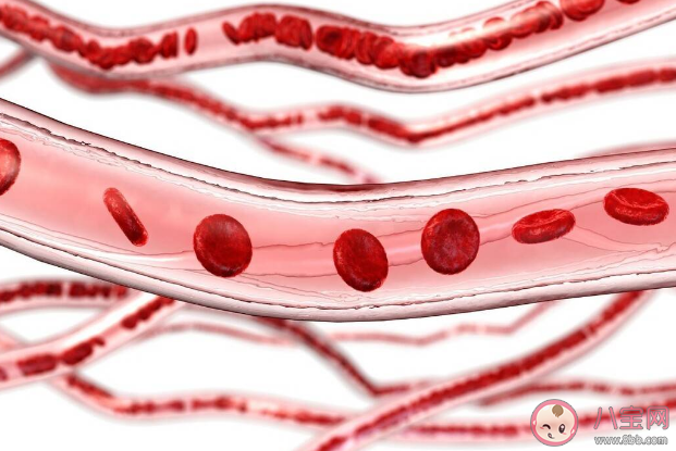 沒癥狀的貧血可以不管嗎 如何簡單自測是否有貧血 沒癥狀的貧血可以不管嗎 如何簡單自測是否有貧血