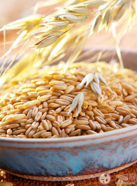 小麥胚芽值得買嗎 小麥胚芽可以預防疾病嗎