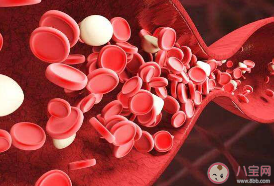 吃素不吃肉能降血脂嗎 降血脂應該吃什么 吃素不吃肉能降血脂嗎 降血脂應該吃什么