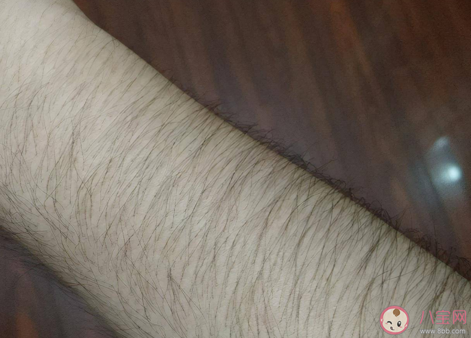 體毛會越刮越多越刮越粗嗎 體毛多有哪些脫毛方法 體毛會越刮越多越刮越粗嗎 體毛多有哪些脫毛方法