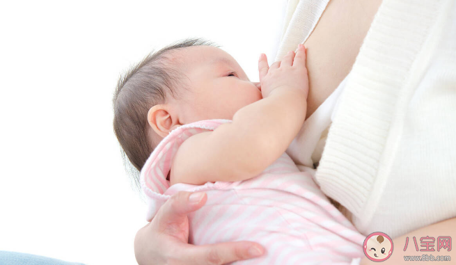 坐月子需要喝月子酒下奶嗎 真的有下奶湯嗎