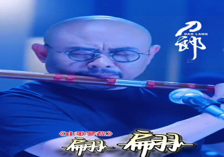 刀郎《翩翩》歌詞有何寓意 《翩翩》歌詞背景是什么