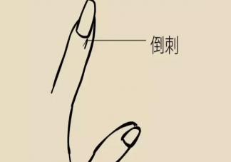 倒刺為什么不能隨便拔 手指上為什么會長倒刺