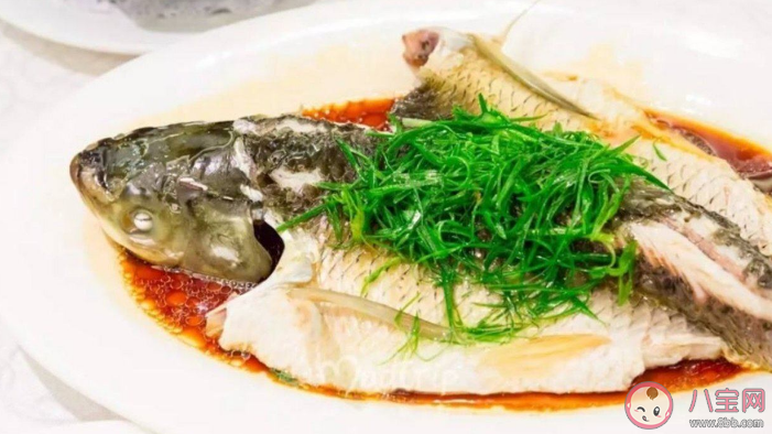 20種魚營(yíng)養(yǎng)成分一覽表 補(bǔ)充DHA和EPA哪些魚值得多吃 20種魚營(yíng)養(yǎng)成分一覽表 補(bǔ)充DHA和EPA哪些魚值得多吃