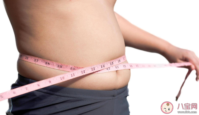 減肥為什么先養肝 肝臟健康對減肥有什么好處