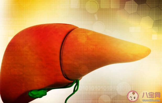 減肥為什么先養肝 肝臟健康對減肥有什么好處