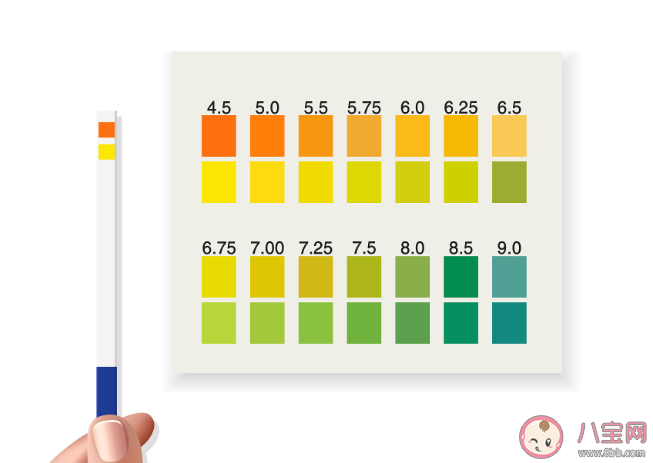 體檢時為何要留晨尿 尿檢為什么要中段尿 體檢時為何要留晨尿 尿檢為什么要中段尿