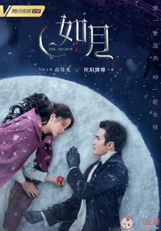 電視劇《如月》原著小說是什么 《如月》講述了什么故事