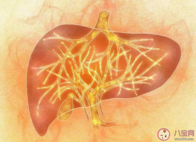 如何判斷身體是否肝火旺 肝火旺怎么調理 如何判斷身體是否肝火旺 肝火旺怎么調理