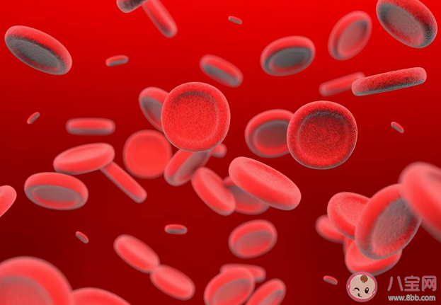 骨髓移植后可能會改變血型 為什么血型會改變