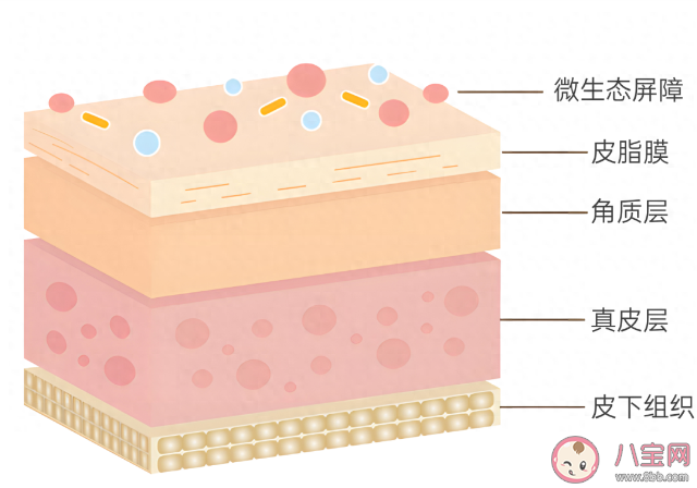皮膚屏障有幾層 如何修復皮膚屏障 皮膚屏障有幾層 如何修復皮膚屏障
