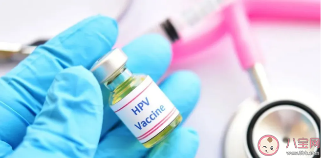 男性生殖器HPV感染率高達45.2% HPV感染不分男女