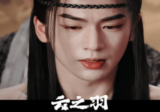 《云之羽》宮子羽的父兄是誰殺的 宮子羽的身世是什么