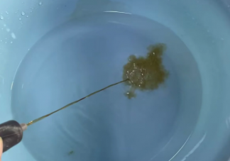 藿香正氣水泡腳有效嗎 泡腳的正確打開(kāi)方式是什么