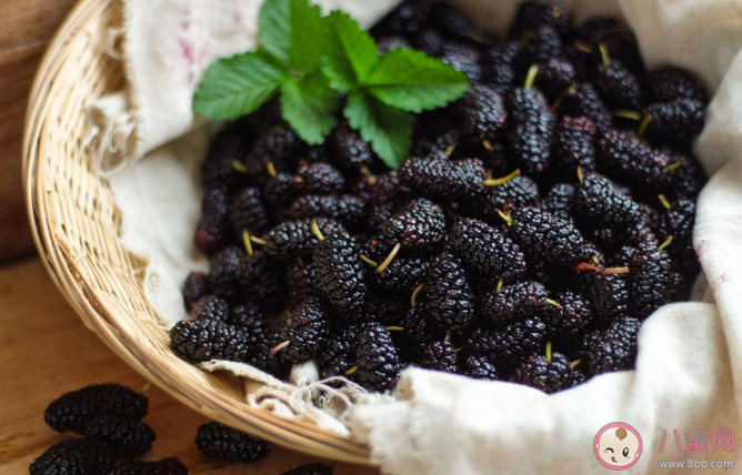 吃桑葚干能解酒嗎 桑葚干有什么功效作用