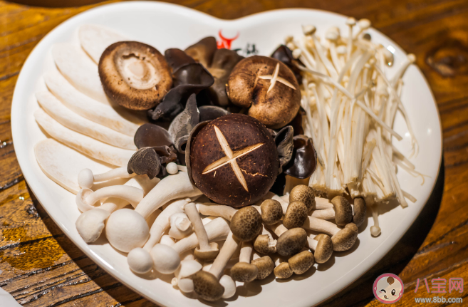吃蘑菇有助于減肥嗎 菌類食物有哪些營養
