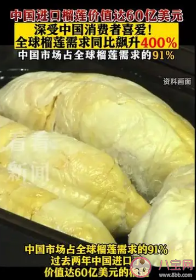 報告稱中國人吃掉全球91%榴蓮 中國人為什么這么愛吃榴蓮 報告稱中國人吃掉全球91%榴蓮 中國人為什么這么愛吃榴蓮