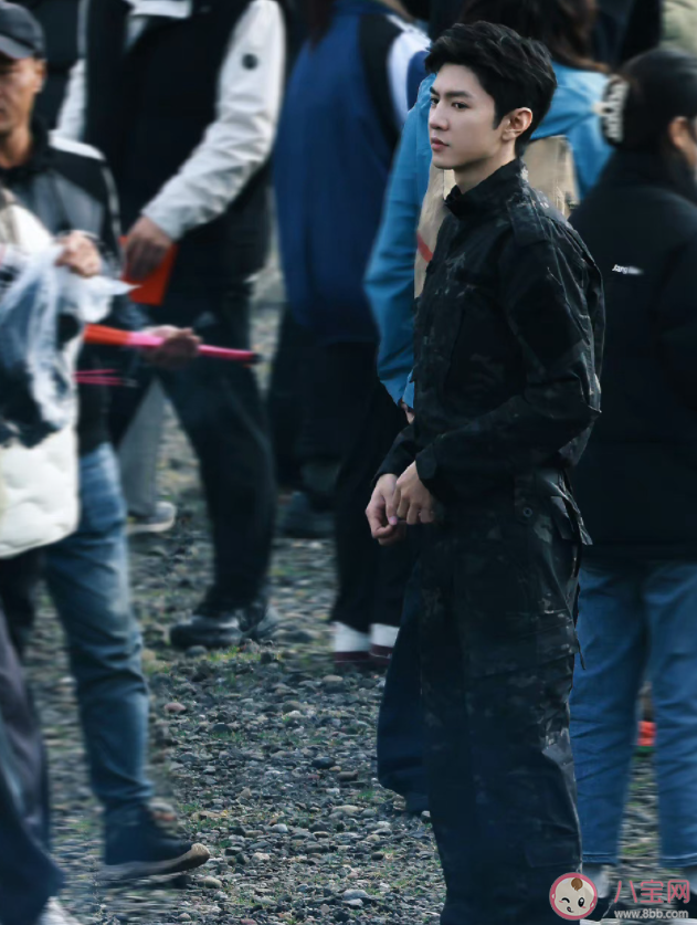 《白色橄欖樹》原著小說是什么 《白色橄欖樹》結(jié)局有多虐 《白色橄欖樹》原著小說是什么 《白色橄欖樹》結(jié)局有多虐