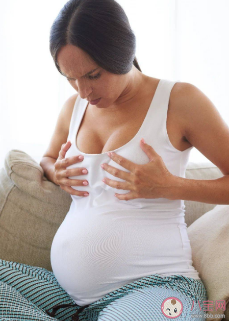 孕期乳暈周圍長小肉疙瘩要緊嗎 孕期乳房會有什么變化