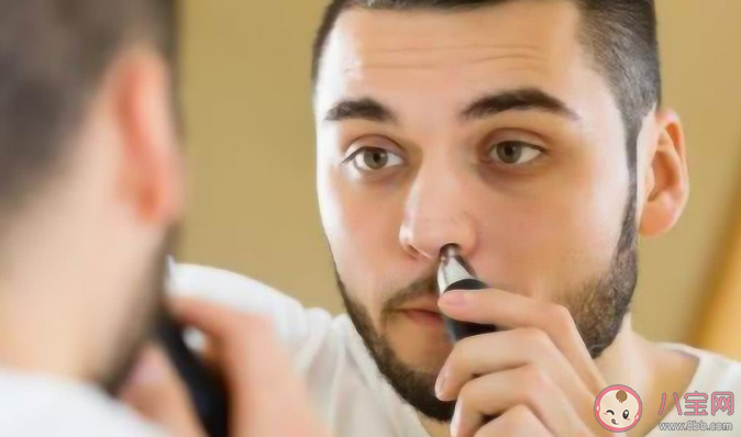 為什么鼻毛不能拔 鼻毛有什么作用 為什么鼻毛不能拔 鼻毛有什么作用