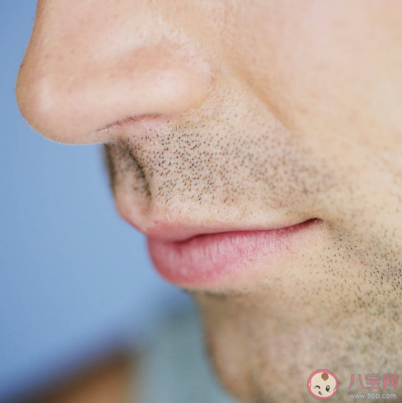 為什么鼻毛不能拔 鼻毛有什么作用 為什么鼻毛不能拔 鼻毛有什么作用