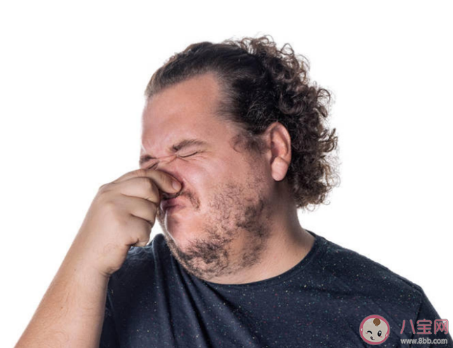 為什么鼻毛不能拔 鼻毛有什么作用 為什么鼻毛不能拔 鼻毛有什么作用