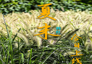 韓紅新歌《夏末》歌詞是什么 《夏末》歌詞歌曲介紹