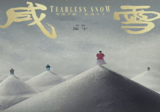 《咸雪》影視化備案 《咸雪》劇情梗概
