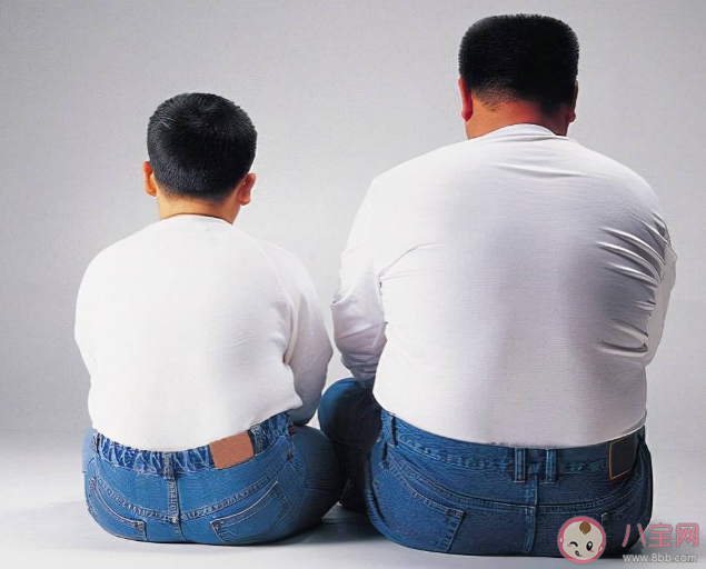 中國人越來越胖了嗎 為什么現代人會越來越胖 中國人越來越胖了嗎 為什么現代人會越來越胖