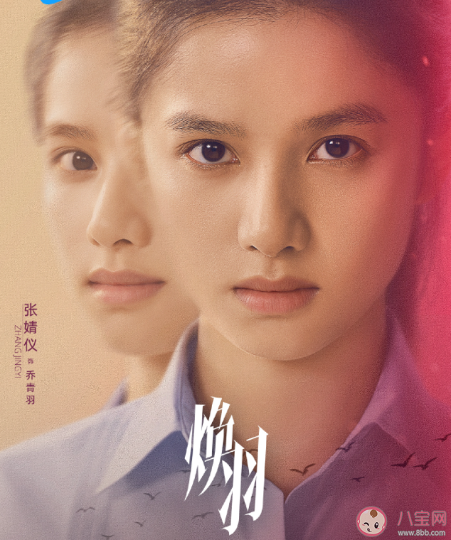 《煥羽》原著小說是什么 《煥羽》劇情怎么樣