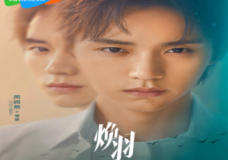 《煥羽》原著小說是什么 《煥羽》劇情怎么樣