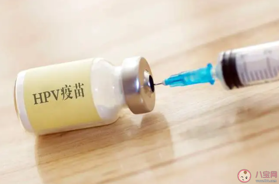 HPV疫苗需要糾結幾價嗎 HPV疫苗選擇幾價好