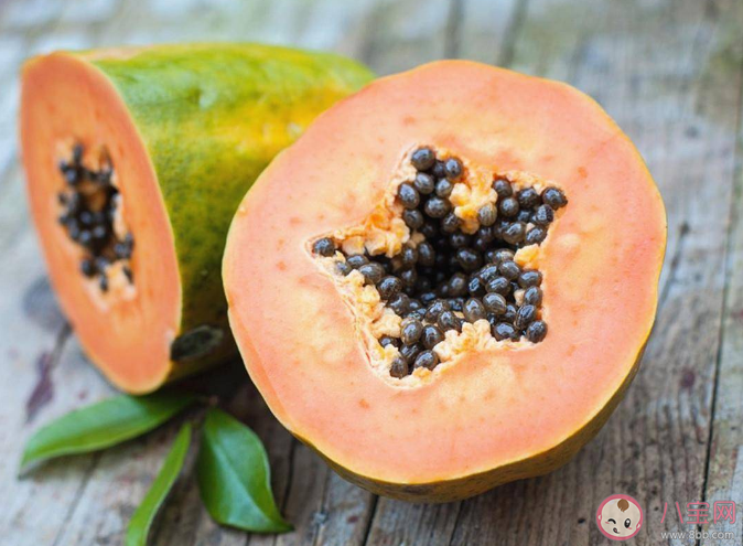 木瓜可以制作哪些美食 關(guān)于木瓜的謠言有哪些 木瓜可以制作哪些美食 關(guān)于木瓜的謠言有哪些