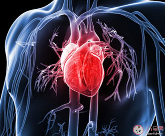 熬夜后的心臟有哪些變化 應該怎樣保護心臟 熬夜后的心臟有哪些變化 應該怎樣保護心臟
