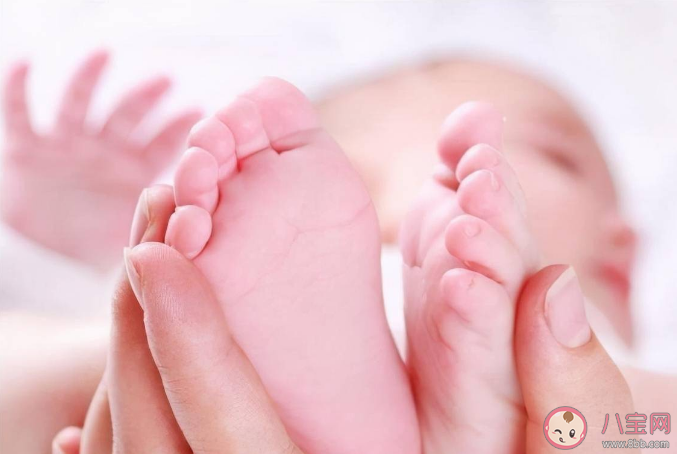 人造子宮真的要來了嗎 我們離人造子宮還有多遠