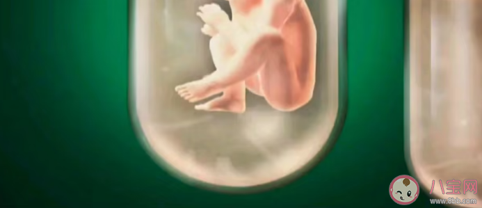 人造子宮真的要來了嗎 我們離人造子宮還有多遠