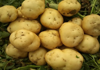 哪些食物屬于脹氣食物 脹氣了該怎么辦