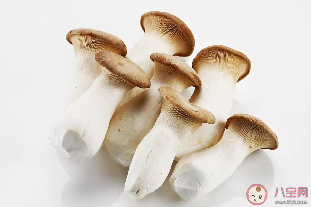 菌菇的功效都有什么 秋季適合吃什么菌菇 菌菇的功效都有什么 秋季適合吃什么菌菇