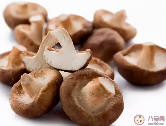 菌菇的功效都有什么 秋季適合吃什么菌菇 菌菇的功效都有什么 秋季適合吃什么菌菇