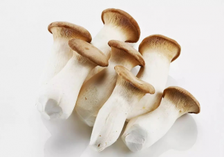 菌菇的功效都有什么 秋季適合吃什么菌菇