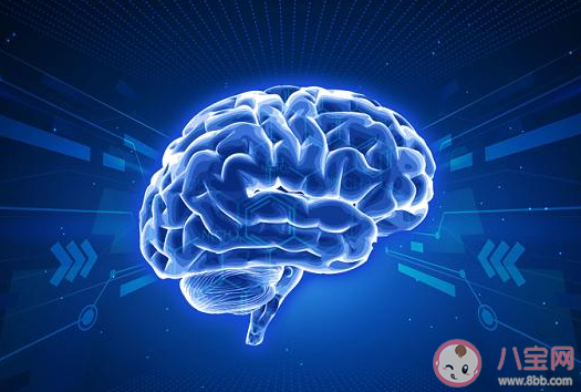 女子眼球充血就醫后發現大腦短路 大腦真的會短路嗎