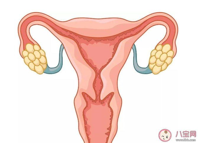 常喝咖啡會導致卵巢囊腫嗎 患有卵巢囊腫會有感覺嗎