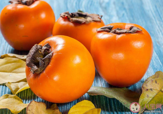 空腹吃柿子會得結(jié)石嗎 柿子是發(fā)物嗎 空腹吃柿子會得結(jié)石嗎 柿子是發(fā)物嗎