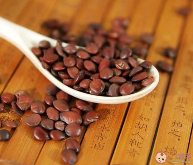 酸棗仁暴漲至千元到底是誰在炒作 酸棗仁有什么作用