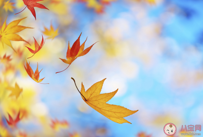 為什么秋天是情緒病高發期 季節性情緒失調怎么辦 為什么秋天是情緒病高發期 季節性情緒失調怎么辦