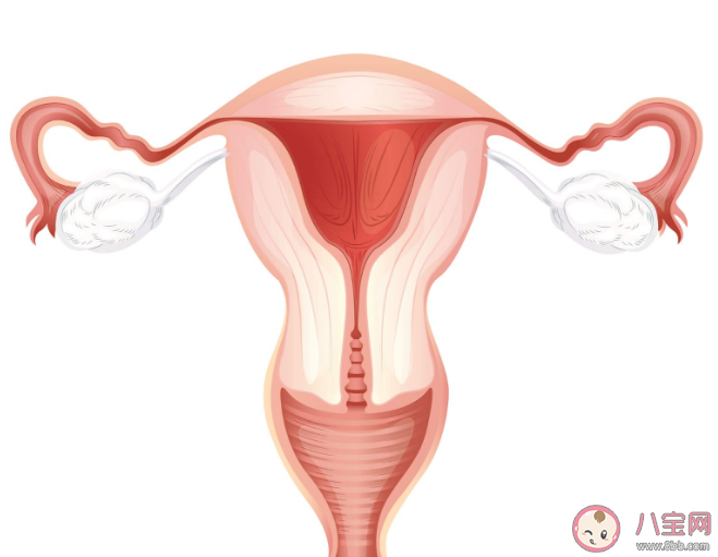 卵巢早衰可以逆轉恢復嗎 卵巢保養(yǎng)重在預防過早衰老 卵巢早衰可以逆轉恢復嗎 卵巢保養(yǎng)重在預防過早衰老
