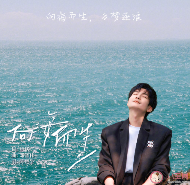 陳楚生《向海而生》歌詞是什么 《向海而生》歌詞歌曲介紹