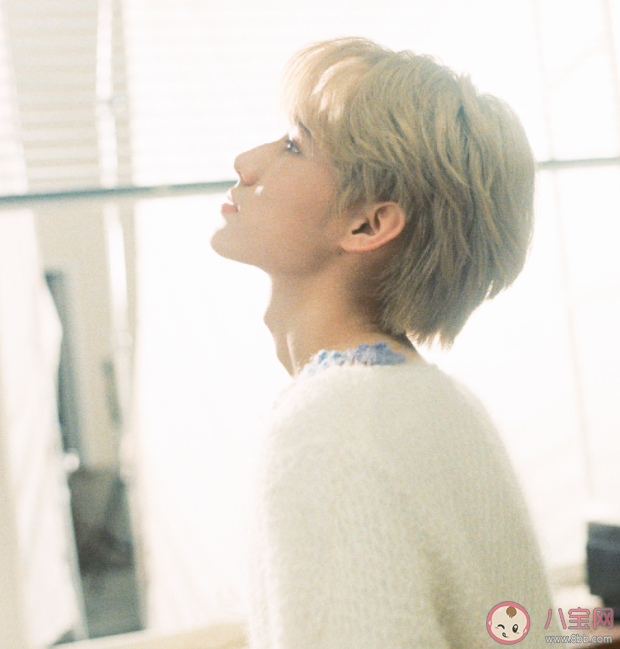 張真源新歌《蝴蝶》歌詞是什么 《蝴蝶》歌詞歌曲介紹