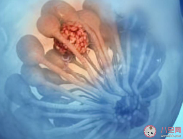 乳腺結(jié)節(jié)真是氣出來(lái)的嗎 乳腺結(jié)節(jié)離乳腺癌還有多遠(yuǎn) 乳腺結(jié)節(jié)真是氣出來(lái)的嗎 乳腺結(jié)節(jié)離乳腺癌還有多遠(yuǎn)